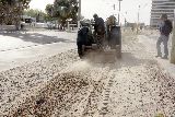 EMBELLECIMIENTO DEL SECTOR COSTERO