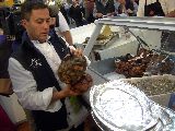 RAPRETTI EN ITALIA