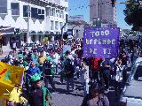 JUNTOS POR UN MADRYN INCLUSIVO