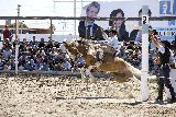 LA JINETEADA, UNA FIESTA APARTE