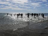 CAMPEONATO PATAGÓNICO DE TRIATLÓN