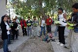 ENTRENAMIENTO PARA EL TRABAJO
