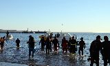 CONCURSO DE FOTOGRAFÍA SUBMARINA
