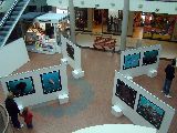MUESTRA EN EL PORTAL