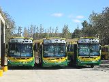 TRANSPORTE PÚBLICO DE PASAJEROS