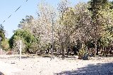 PROGRAMA DE  MEJORAMIENTO DE  PLAZAS  Y PARQUES