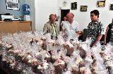 PAN DULCE PARA TODOS