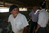 PRODUCTORES EN EL AGROFORESTAL