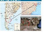 PROYECTO PARQUE EÓLICO PUERTO MADRYN