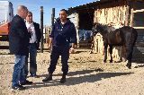 POLICÍA MONTADA