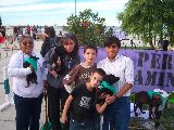 MÁS DE 1.300 ANIMALES CASTRADOS