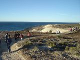 CAMPAMENTISMO Y PLANTOLOGIA
