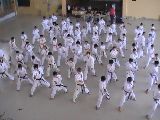 KARATE DO SHOTOKAN