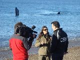 PRENSA NACIONAL EN MADRYN