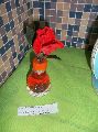 EXPOSICIÓN DE OBJETOS RECICLADOS