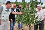 ACEITE DE OLIVA CON MARCA MADRYN