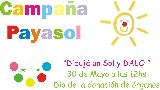 JORNADA PAYASOL 2013