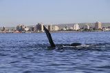 ENTRÓ EN VIGENCIA LA PROMOCIÓN MADRYN AL 50%