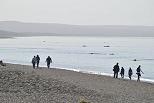 REAPERTURA DEL ACCESO AL ÁREA NATURAL EL DORADILLO DESDE PUERTO MADRYN