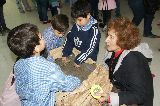 MUESTRA DE DINOSAURIOS EN EL CDI Nº 8