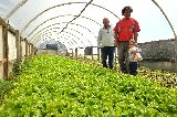“LA OCUPACIÓN DE TERRITORIOS CON FINES PRODUCTIVOS SON HERRAMIENTAS POTENCIALES PARA EL DESARROLLO ECONÓMICO”