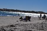 VERANO 2014 EN PUERTO MADRYN
