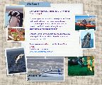 PUERTO MADRYN Y SUS ATRACTIVOS TURÍSTICOS POR CN23