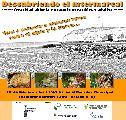 INVITAN A LA SALIDA “DESCUBRIENDO EL INTERMAREAL DE PUNTA CUEVAS”