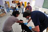 NUEVO CRONOGRAMA DE LAS CAMPAÑAS DE CASTRACIONES Y APLICACIÓN DE ANTISÁRNICO Y ANTIRRÁBICO