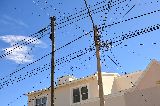 INSTAN A LAS EMPRESAS PRESTADORAS DE SERVICIOS CON CABLEADO A RETIRAR LAS LÍNEAS EN DESUSO