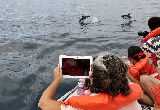 PUERTO MADRYN ADHIRIÓ A LA LEY NACIONAL DE TURISMO