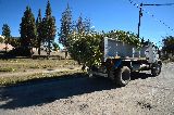 LUEGO DEL TEMPORAL: LOS TRABAJOS TAMBIÉN AVANZAN EN FORESTACIÓN Y BACHEO