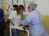 REALIZARON MÁS DE 30 CASTRACIONES GRATUITAS EN EL RUCA HUE