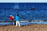 LANZAMIENTO COMARCAL DE LA TEMPORADA DE BALLENAS