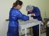 REALIZARON 28 CASTRACIONES GRATUITAS EN EL BARRIO PERITO MORENO