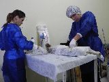 EL CICLO DE CASTRACIONES CONTINÚA EN EL BARRIO PRESIDENTE PERÓN
