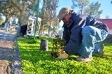 CONTINÚA EL PLAN DE EMBELLECIMIENTO Y RECUPERACIÓN DE LA PLAZA SAN MARTÍN