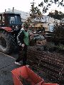 PROMOTORES AMBIENTALES COLABORAN CON AGENTES DE FORESTACIÓN EN EL PLAN DE RECUPERACIÓN DE LA PLAZA SAN MARTÍN