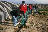 LOS CENTROS DE GESTIÓN BARRIAL PARTICIPAN EN DIVERSAS ACTIVIDADES JUNTO A INSTITUCIONES DE LA COMUNIDAD