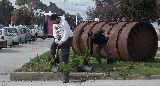 DIVERSOS TRABAJOS DEL MUNICIPIO EN ESPACIOS PÚBLICOS