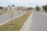 TAREAS DE FORESTACIÓN EN DISTINTOS ESPACIOS PÚBLICOS DE LA CIUDAD