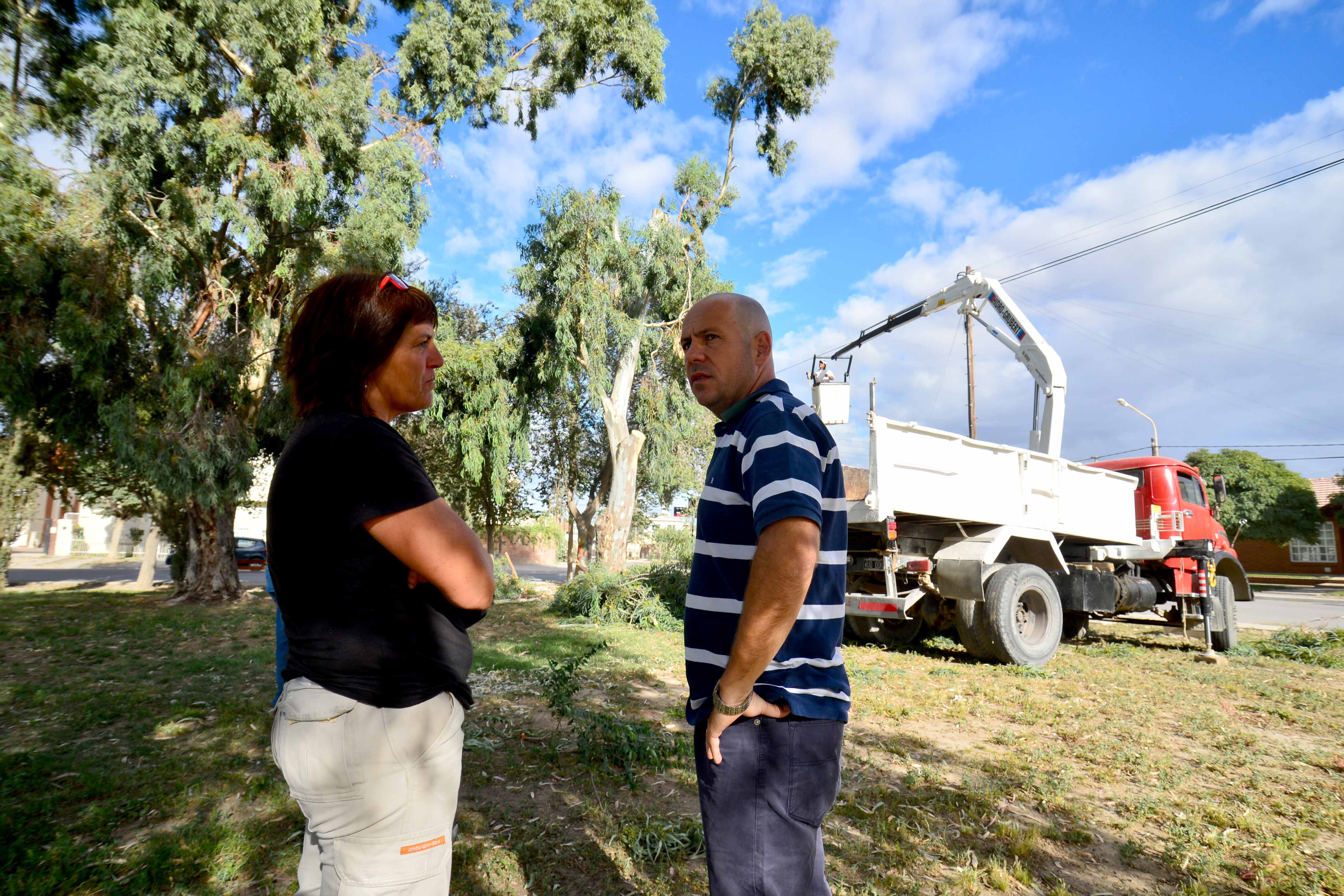 SASTRE SUPERVISÓ TAREAS EN LA PLAZA “ESPAÑA”