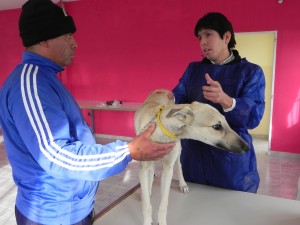 CICLO DE VACUNACIÓN GRATUITA PARA MASCOTAS EN LOS BARRIOS DE LA CIUDAD