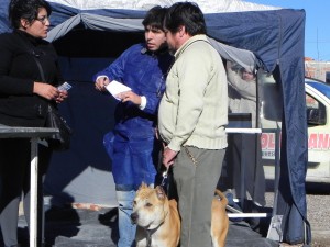 FUERON VACUNADAS 40 MASCOTAS DE FORMA GRATUITA Y SE ENTREGARON 150 DOSIS DE DESPARASITARIO