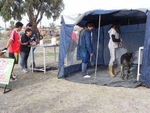 REALIZARÁN ACTIVIDADES DE INTEGRACIÓN Y PROMOCIÓN DE LA SALUD EN LA PISTA DE ATLETISMO