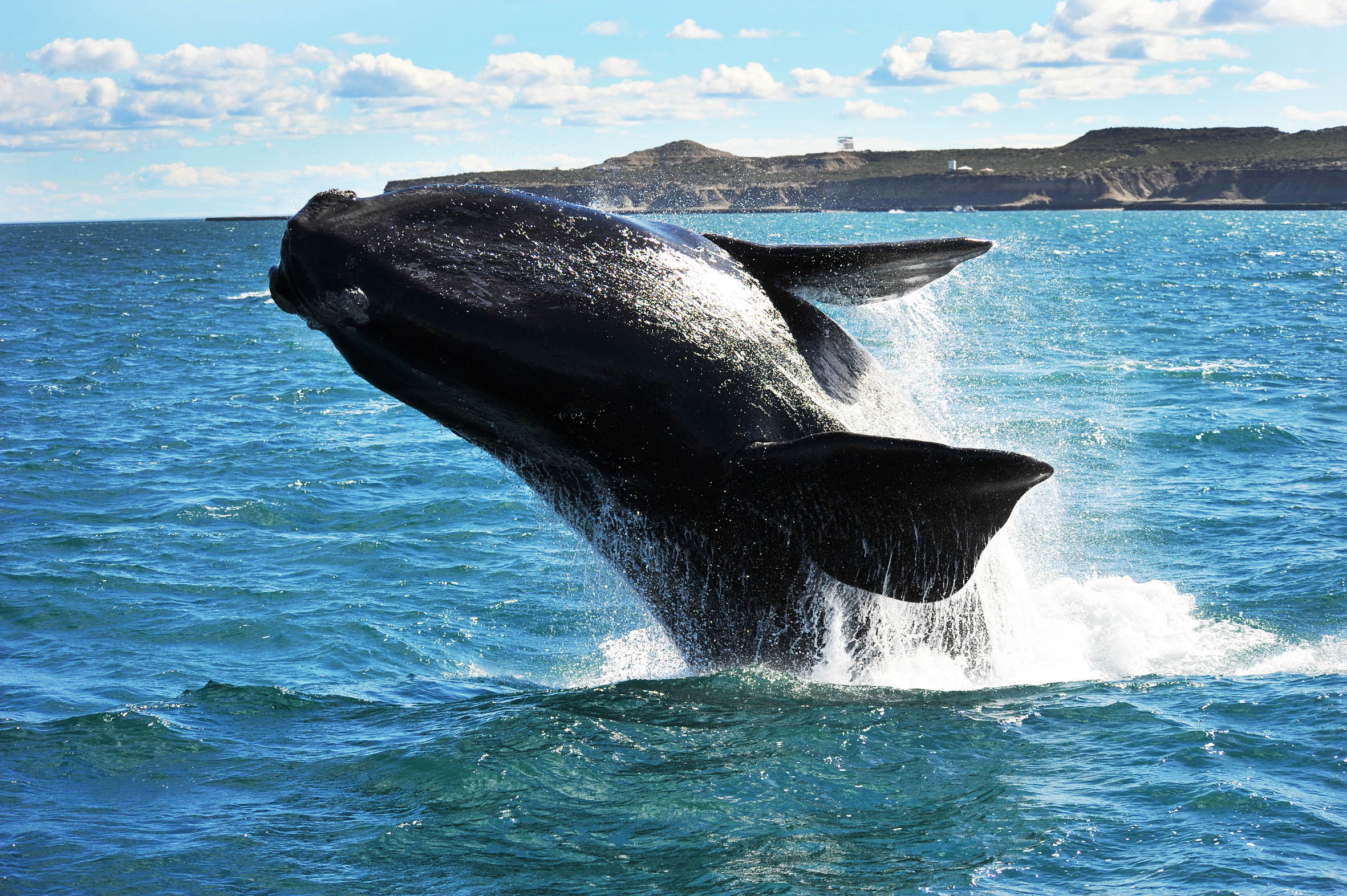 PUERTO MADRYN EN SALTA
