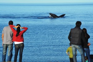 FIN DE SEMANA LARGO DE OCTUBRE: RESERVAS GENERALES DEL 83%