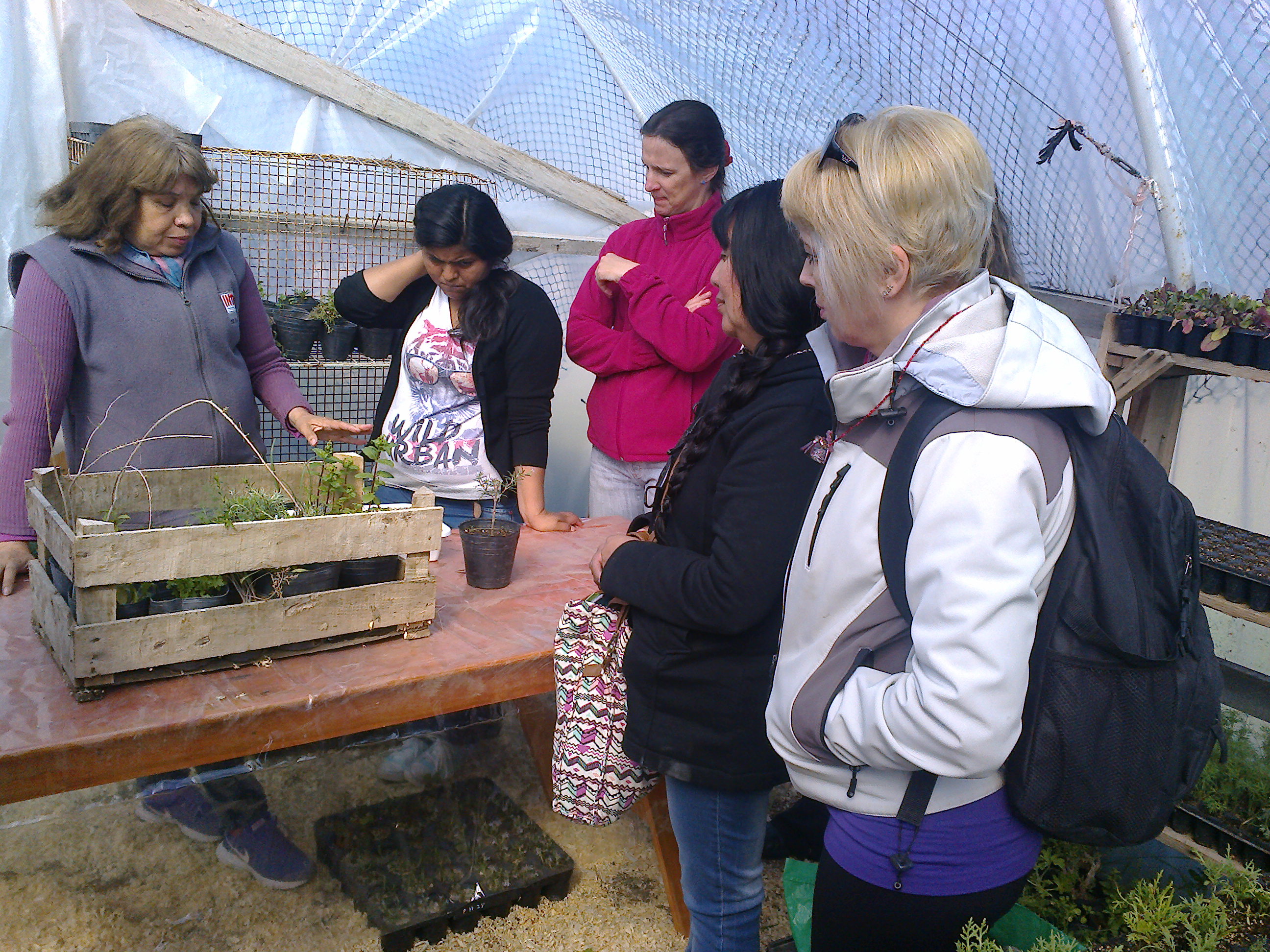 DOCENTES REALIZARON PRÁCTICAS CON PLANTAS AROMÁTICAS EN EL TALLER DE HUERTA