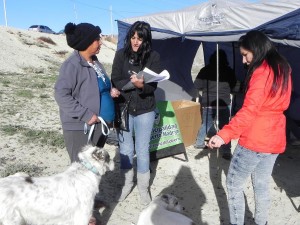 CAMPAÑA DE VACUNACIÓN Y CASTRACIÓN EN LOS BARRIOS DE LA CIUDAD