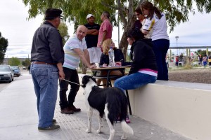 MÁS DE 150 MASCOTAS ATENDIDAS EN CAMPAÑAS DE VACUNACIÓN Y CASTRACIÓN EL FIN DE SEMANA